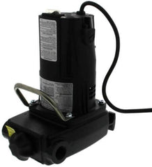 ZOELLER 314-0002 WATER PUMPS