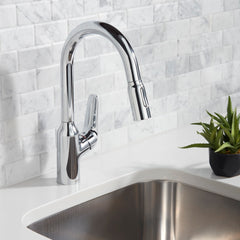 HANSGROHE Hansgrohe 71801001 Focus N Prep Kitchen Faucet, 2-Spray Pull-Down, 1.75 GPM