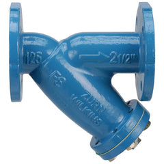 ZURN Zurn 212-FSC Model FSC 2-1/2 in. Flange Ductile Iron Epoxy Coated Y-Strainer