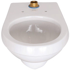 ZURN Zurn Z5615-BWL-AM EcoVantage Elongated Toilet Bowl in White