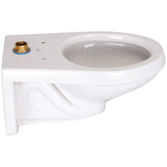 ZURN Zurn Z5615-BWL-AM EcoVantage Elongated Toilet Bowl in White