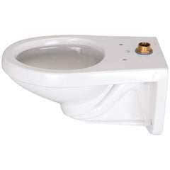 ZURN Zurn Z5615-BWL-AM EcoVantage Elongated Toilet Bowl in White