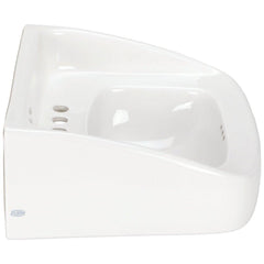 ZURN Zurn Z5364 20x18 Wall-Mount High-Back Sink/Lavatory 4 Centers