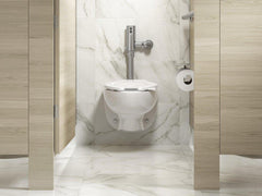 KOHLER Kohler 10TD00N10-CP Mach Tripoint 1.28 gpf Piston Sensor Closet Flush Valve in Polished Chrome