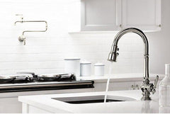 KOHLER Kohler 99261-SN Artifacts Single Handle Pull Down Kitchen Faucet in Vibrant Polished Nickel