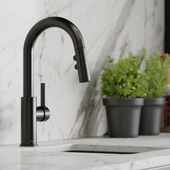 ELKAY Elkay LKAV3032BK Avado Single Hole Bar Faucet with Pull-down Spray and Lever Handle Black Stainless