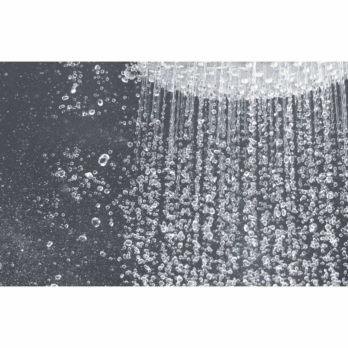 GROHE Grohe 28233000 Euphoria Cosmopolitan 160 Shower Head 2.5 gpm