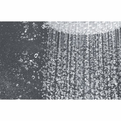 GROHE Grohe 28233000 Euphoria Cosmopolitan 160 Shower Head 2.5 gpm