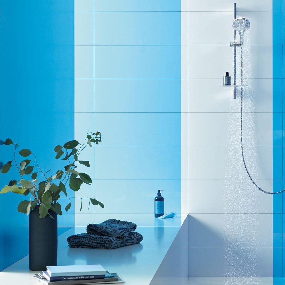 GROHE GROHE 26547000 Rainshower Single Function Hand Shower in Chrome