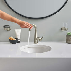 GROHE Grohe 40444EN1 Soap Dish with Holder in Grohe Brushed Nickel