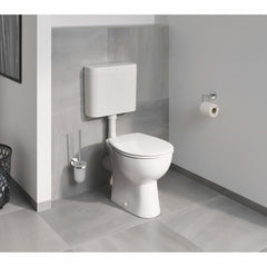 GROHE GROHE 40463001 BauCosmopolitan Toilet Brush Set in Starlight Chrome