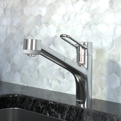 HANSGROHE Hansgrohe 04704005 Talis Single Handle Pull Out Kitchen Faucet in Polished Chrome