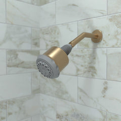 HANSGROHE Hansgrohe 28496141 Clubmaster Showerhead 2.5 GPM in Brushed Bronze
