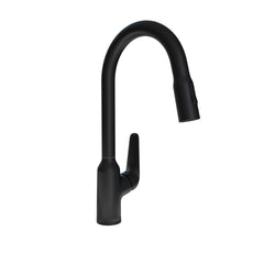 HANSGROHE Hansgrohe 71800671 Focus N HighArc Kitchen Faucet, 2-Spray Pull-Down, 1.75 GPM in Matte Black