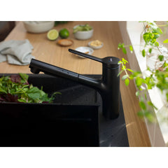 HANSGROHE Hansgrohe 74800671 Zesis Kitchen Faucet 2-Spray, Pull-Out, 1.75 GPM in Matte Black