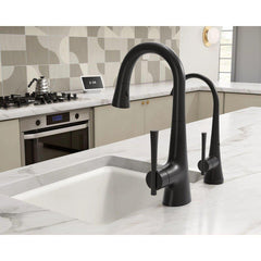 MOEN Moen 6126BL Kurv Single Handle Pull Down Bar Faucet in Matte Black