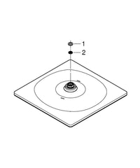 GROHE GROHE 26570EN0 Single Function Showerhead in Brushed Nickel