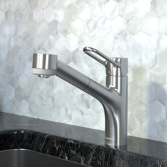 HANSGROHE Hansgrohe 04704805 Talis Loop Pull-Out Kitchen Faucet 1.75 GPM