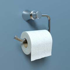 HANSGROHE Hansgrohe 04787000 Joleena Toilet Paper Holder in Chrome