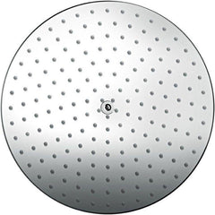 HANSGROHE Hansgrohe 27624821 Raindance S Single Function Showerhead 2.5 GPM
