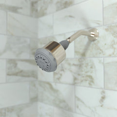 HANSGROHE Hansgrohe 28496831 Multi Function Showerhead in Polished Nickel