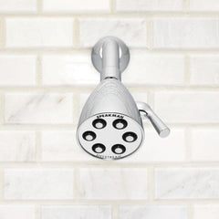 SPEAKMAN Speakman S-2252-E2 Icon Multi Function Showerhead in Polished Chrome