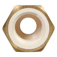 CHARLOTTE PIPE Charlotte Pipe CTS-02206B-0600 1/2 - CPVC Adapter (Female) - Slip x FIP