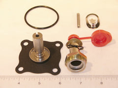 ASCO 318-173 VALVE REPAIR & REBUILD KITS