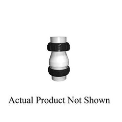 PASCO SPECIALTY 29137 CHECK VALVES
