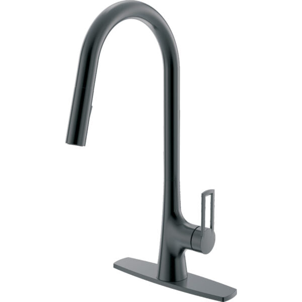 COMPASS 192-8110 KITCHEN FAUCETS