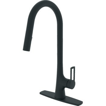 COMPASS 192-8109 KITCHEN FAUCETS