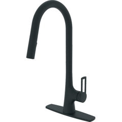 COMPASS 192-8109 KITCHEN FAUCETS