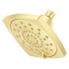 PFISTER 973-255BG SHOWER HEADS