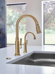 BRIZO Brizo 69080-GL Air Switch with Dual Outlet in Luxe Gold
