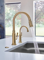 BRIZO Brizo 69080-GL Air Switch with Dual Outlet in Luxe Gold