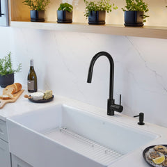DXV DXV D35404300.243 Etre Single Handle Pull-Down Kitchen Faucet with Lever Handle in Matte Black