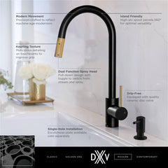 DXV DXV D35404300.243 Etre Single Handle Pull-Down Kitchen Faucet with Lever Handle in Matte Black