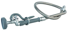 T&S BRASS T&S Brass B-0100 Hose Assembly with Spray Valve