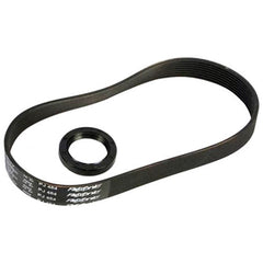 SAMMIC 2059359 BELTS