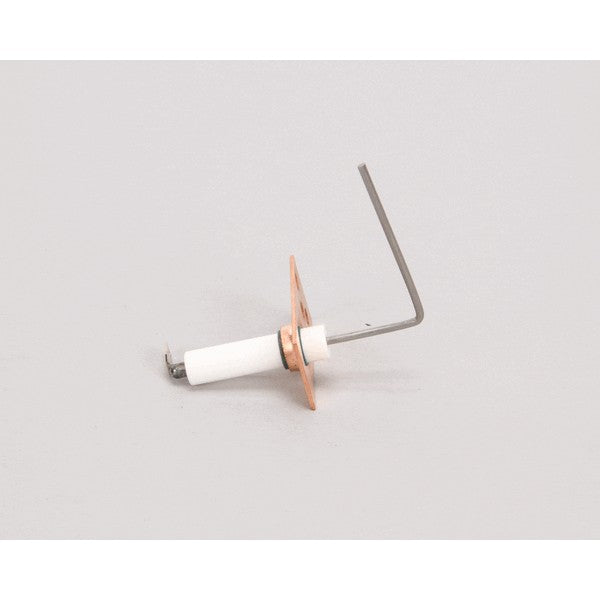 ALLPOINTS 8110487 FLAME SENSORS