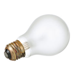 ALLPOINTS 42203 UV LIGHTS