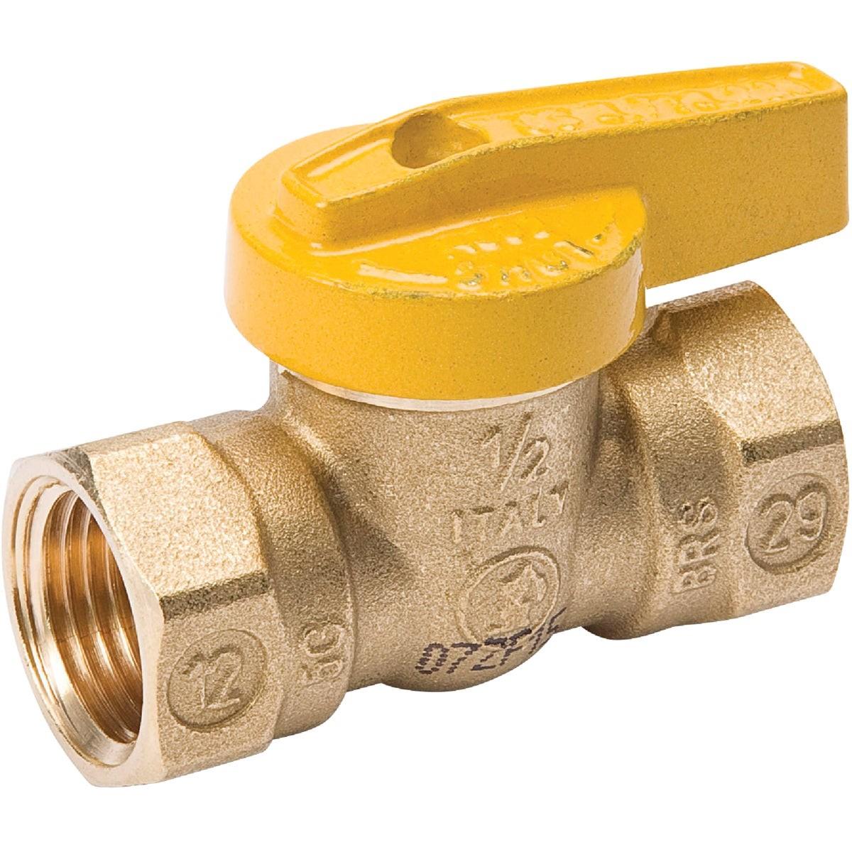 PROLINE 110-523 BALL VALVES