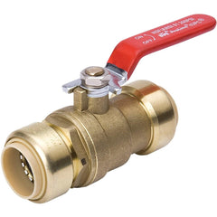 PROLINE 1107-063 BALL VALVES