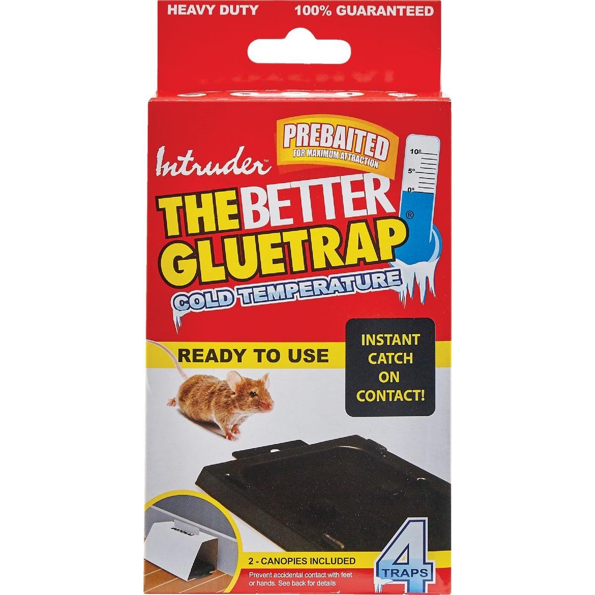 INTRUDER 17505 ADHESIVES, GLUES & CEMENTS