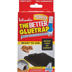 INTRUDER 17505 ADHESIVES, GLUES & CEMENTS