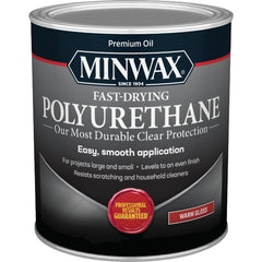 MINWAX 63000444 PAINT SUPPLIES