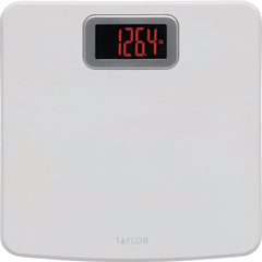 TAYLOR TECHNOLOGIES 5302875 SCALES