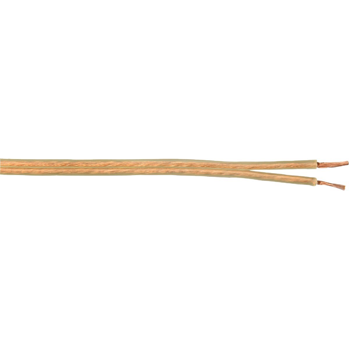 COLEMAN CABLE 600006619 POWER & EXTENSION CORDS