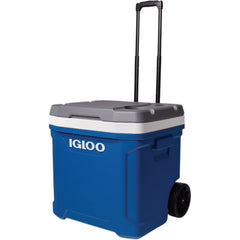 IGLOO 34664 HOUSEWARES & COOKING