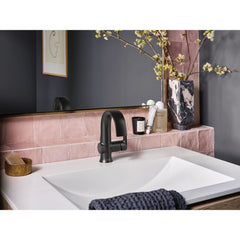 MOEN Moen S6910BL Doux Single Handle Monoblock Bathroom Sink Faucet in Matte Black